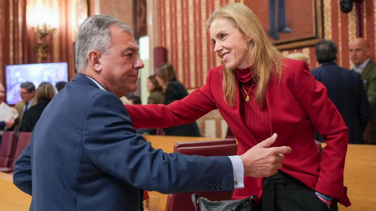 José Luis Sanz y Cristina Peláez se saludan en un pleno municipal.