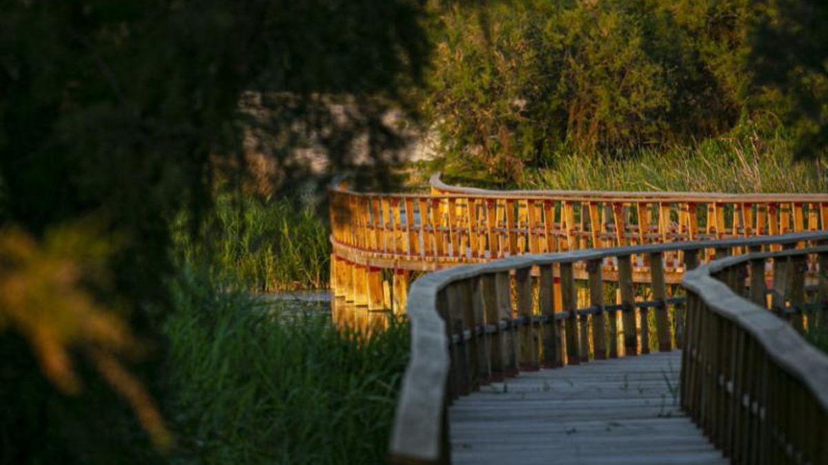 Su sistema de pasarelas y puentes de madera permiten a los excursionistas caminar con total facilidad sobre las zonas inundadas