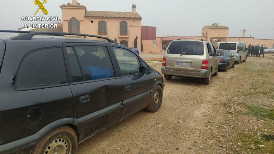 Once personas son sorprendidas 'in fraganti' robando unos 4.000 kilos de aceituna en Toledo