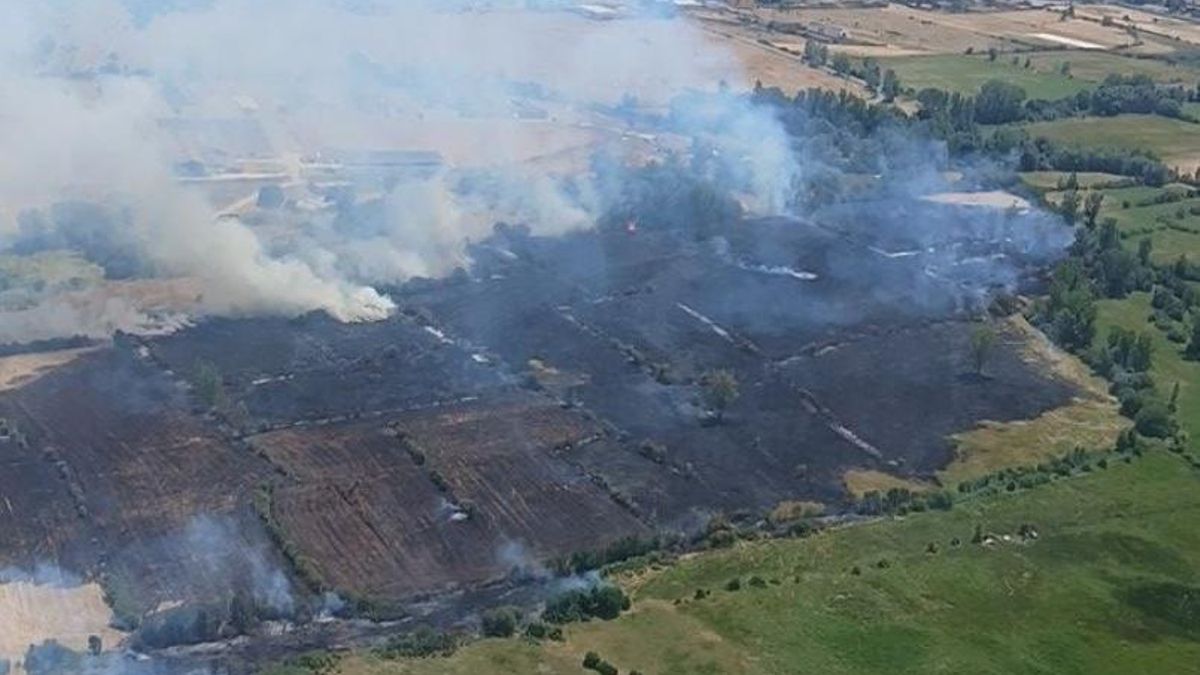 Superficie quemada en el incendio de Navatejera del domingo.