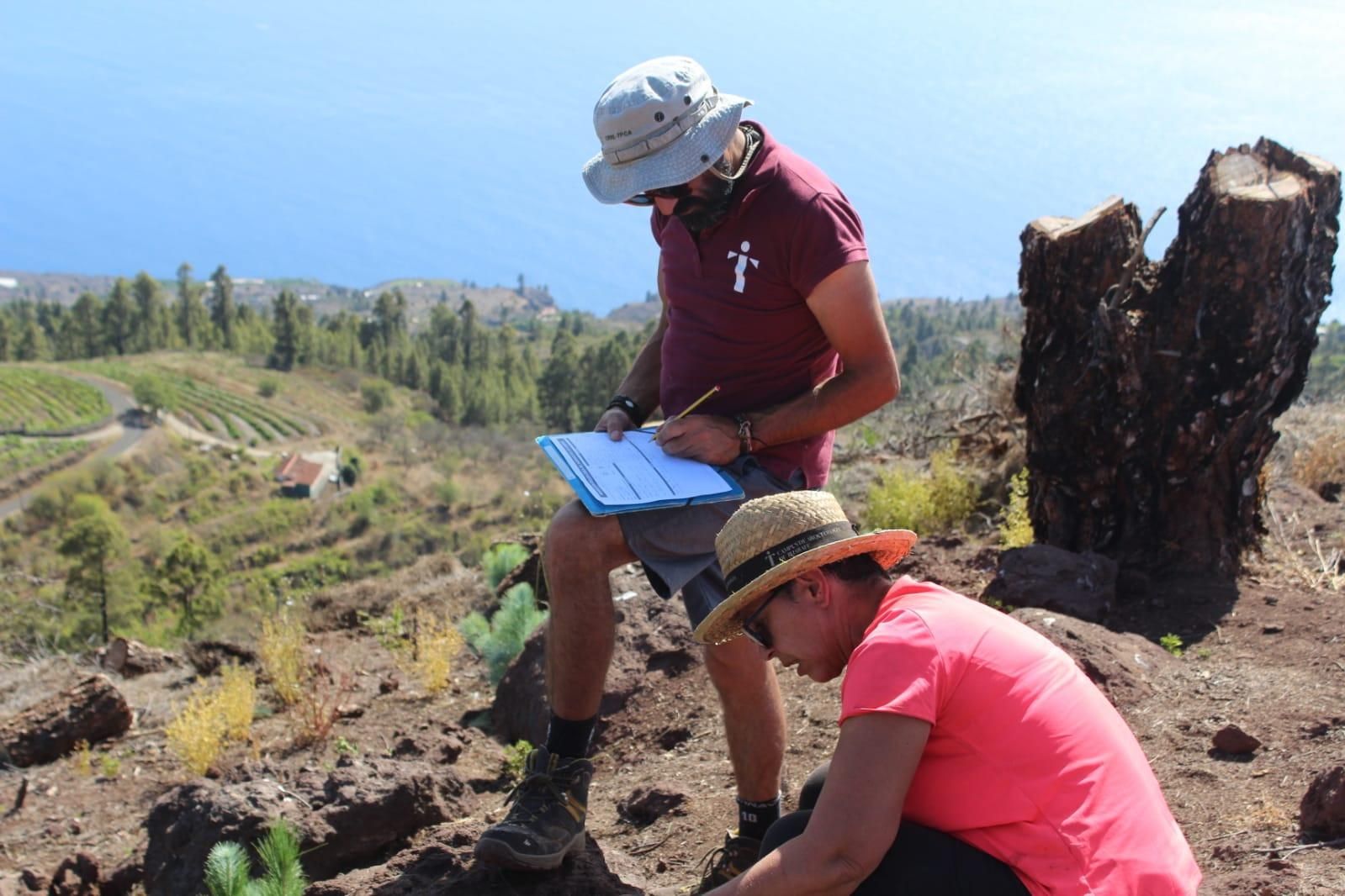 III Campus de Arqueología de Tijarafe.