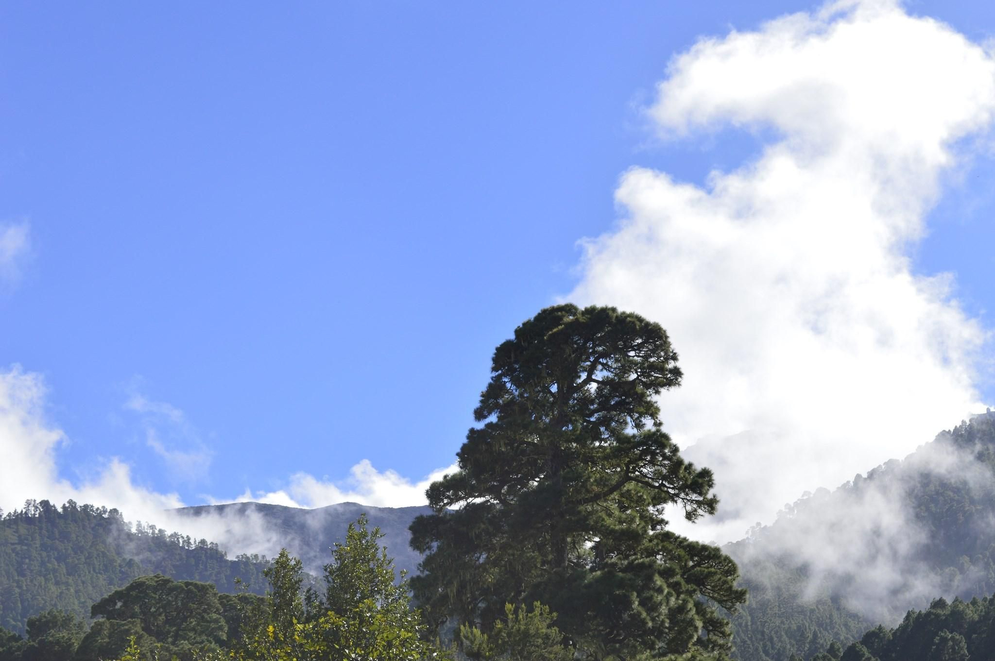 Roque el Faro. Garafía.