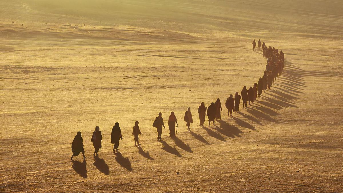 La Vorágine organiza en Santander un ciclo en torno a las respuestas a las crisis climáticas