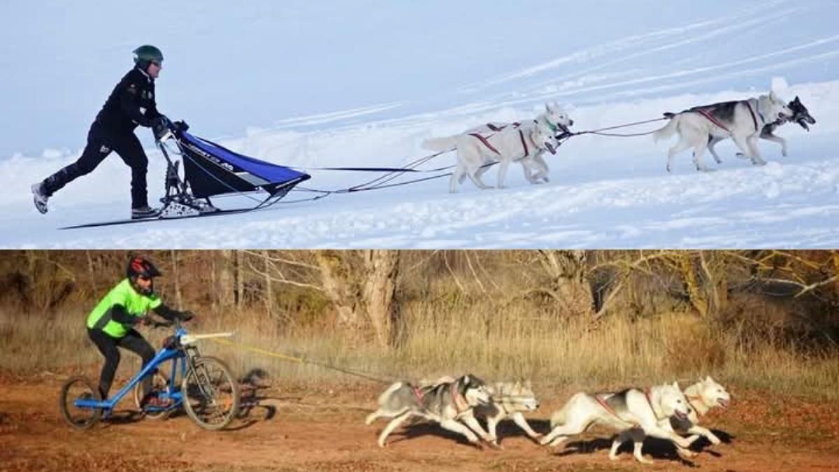 Compiten en tierra y nieve