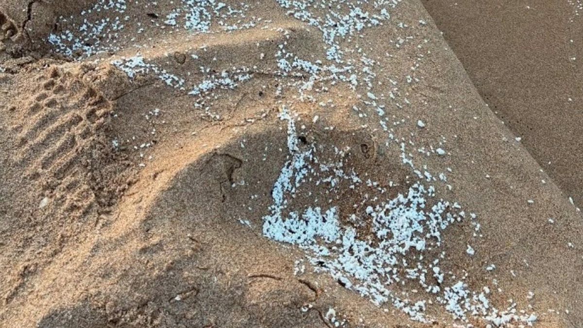 Imagen del vertido en la arena de la playa de Daimús (Valencia).