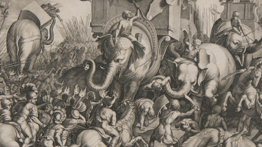 El hallazgo de un hueso en Córdoba reactiva la hipótesis de elefantes de guerra ligados a Aníbal en la Península