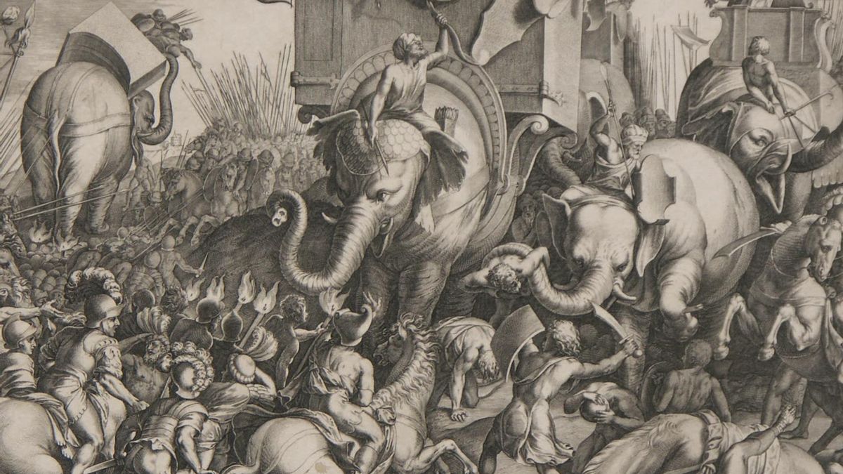 El hallazgo de un hueso en Córdoba reactiva la hipótesis de elefantes de guerra ligados a Aníbal en la Península