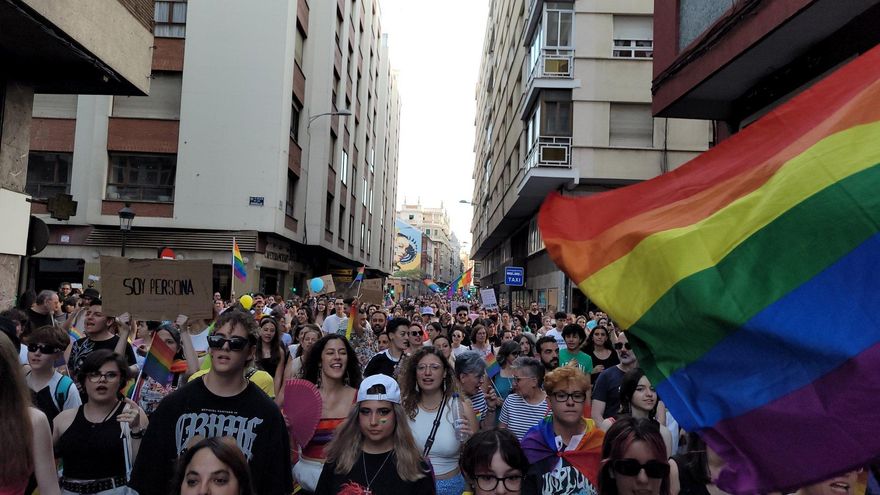 Las plataformas LGTB de Castilla y León critican la "maniobra dilatoria" del PP para que la ley no se apruebe en esta legislatura