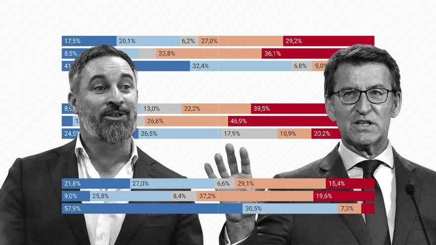 Un 58% de los ciudadanos critican los pactos con Vox, incluido el 22% de los votantes del PP