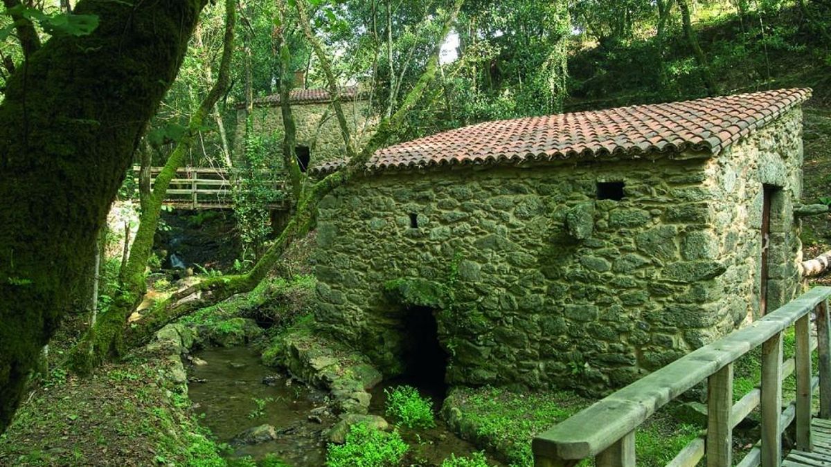 La ruta de senderismo en Galicia que es perfecta para disfrutar de un paseo por el bosque en Semana Santa