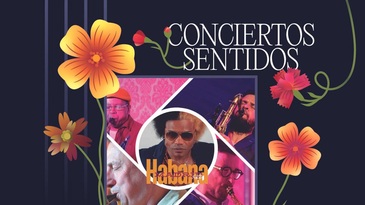 Conciertos sentidos en el Palacio de Viana