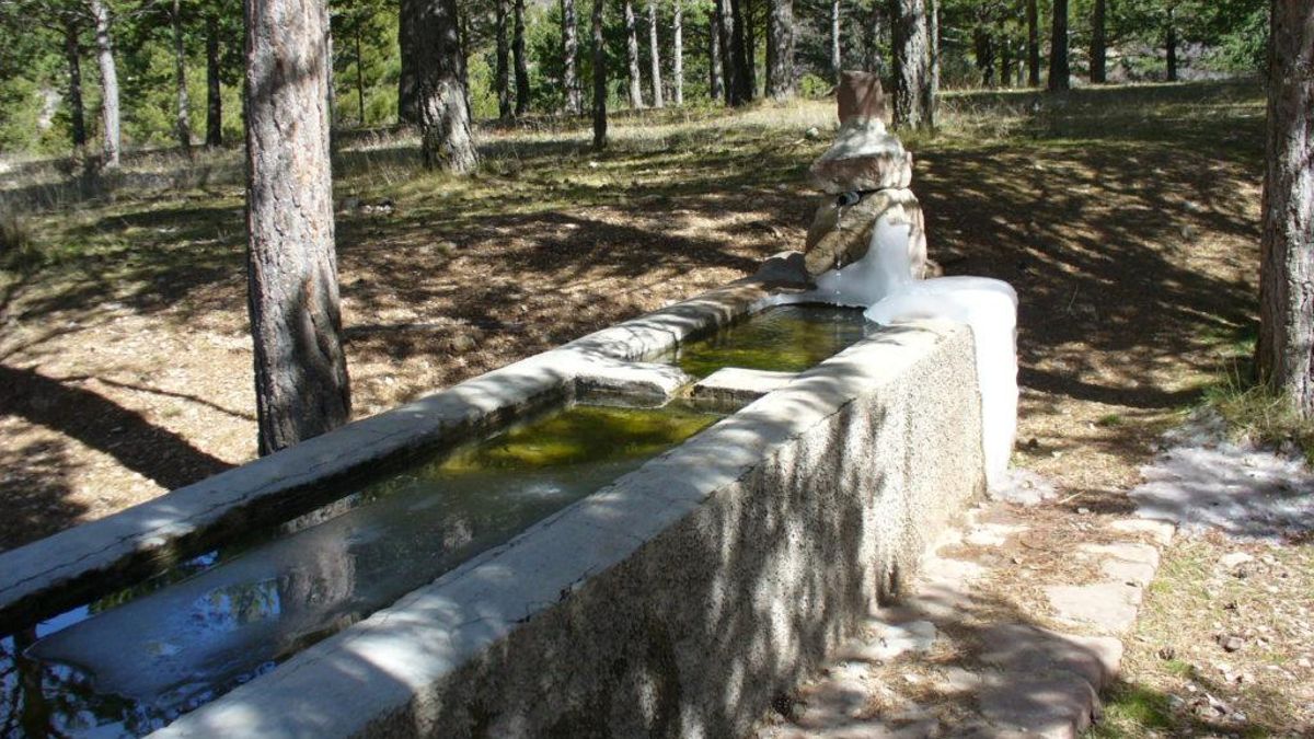 La pureza del agua está garantizada por los acuíferos profundos de la sierra, que actúan como un filtro natural para cada gota que brota