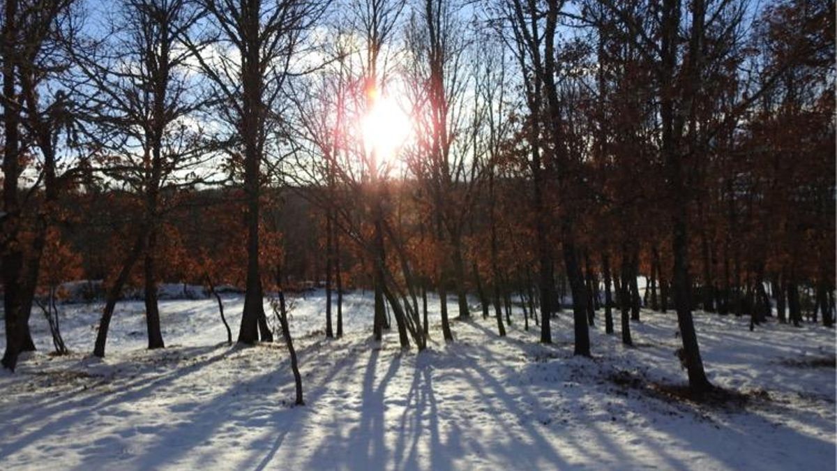 El tiempo en León hoy, 2 de diciembre: la Aemet baja la cota de nieve hasta los 1.000 metros de altitud