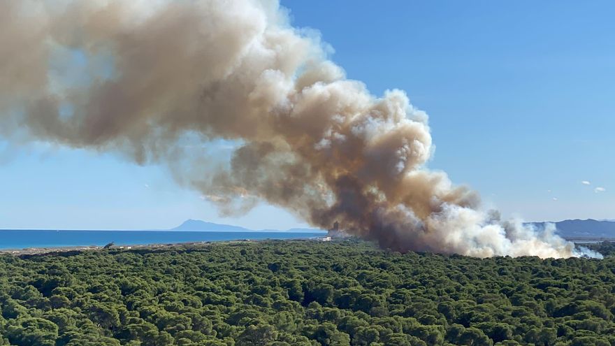 La Guardia Civil busca a un incendiario como presunto autor de los últimos incendios del Parque Natural de El Saler de València