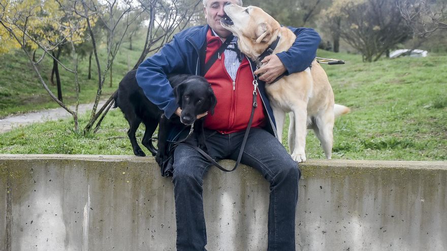 “No puedo dejar mis ojos en la puerta del restaurante”: el todavía lento proceso de normalizar la presencia de los perros guía