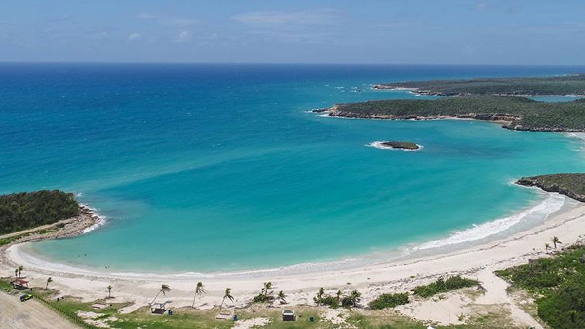 La isla caribeña donde el mar brilla de noche: los secretos de Vieques y su increíble bahía bioluminiscente