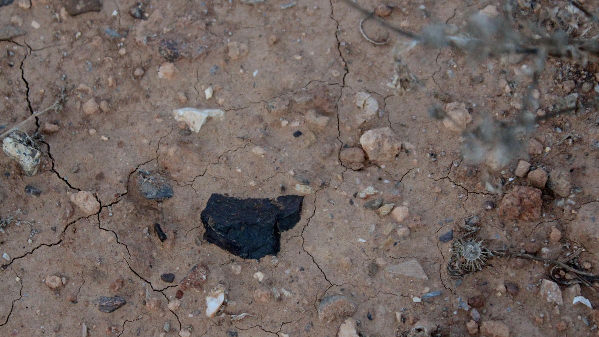 Este tipo de fragmentos tóxicos emerge de la tierra con el paso del tiempo por acción de la erosión eólica e hídrica / Fotografía tomada en octubre de 2025