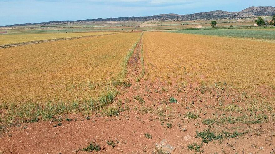 Otro verano seco en Aragón: calor extremo y sequía persistente