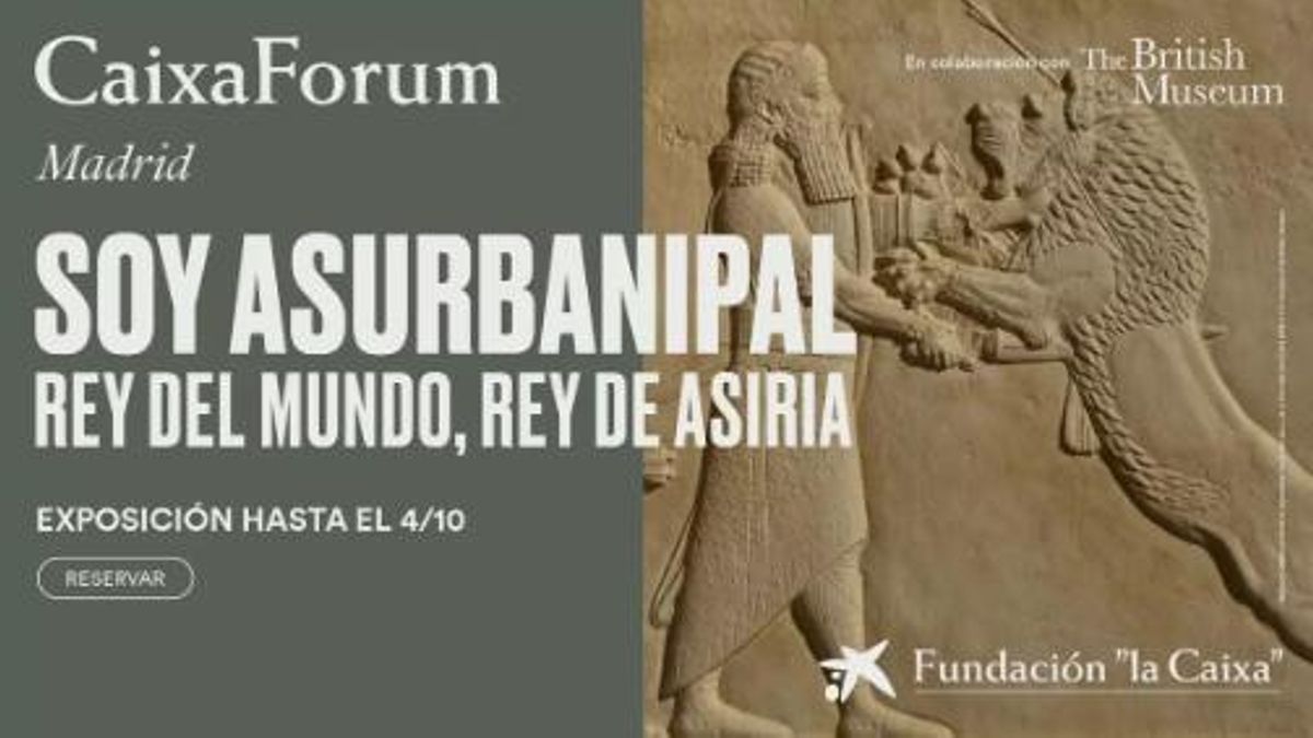 Recorre gratis la exposición 'Soy Asurbanipal, rey del mundo, rey de Asiria'