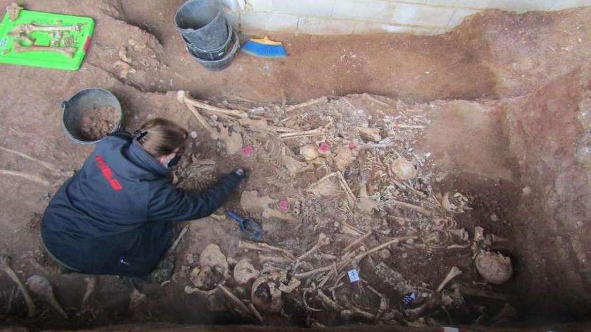 Trabajos en la fosa común de Pico Reja, que se cerró ya vacía en 2023.