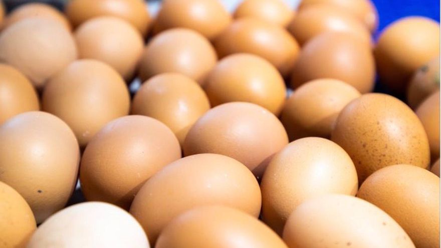 El sector del huevo pide ayudas y plazos para la eliminación de jaulas anunciada por la UE en su estrategia de 'De la Granja a la Mesa'