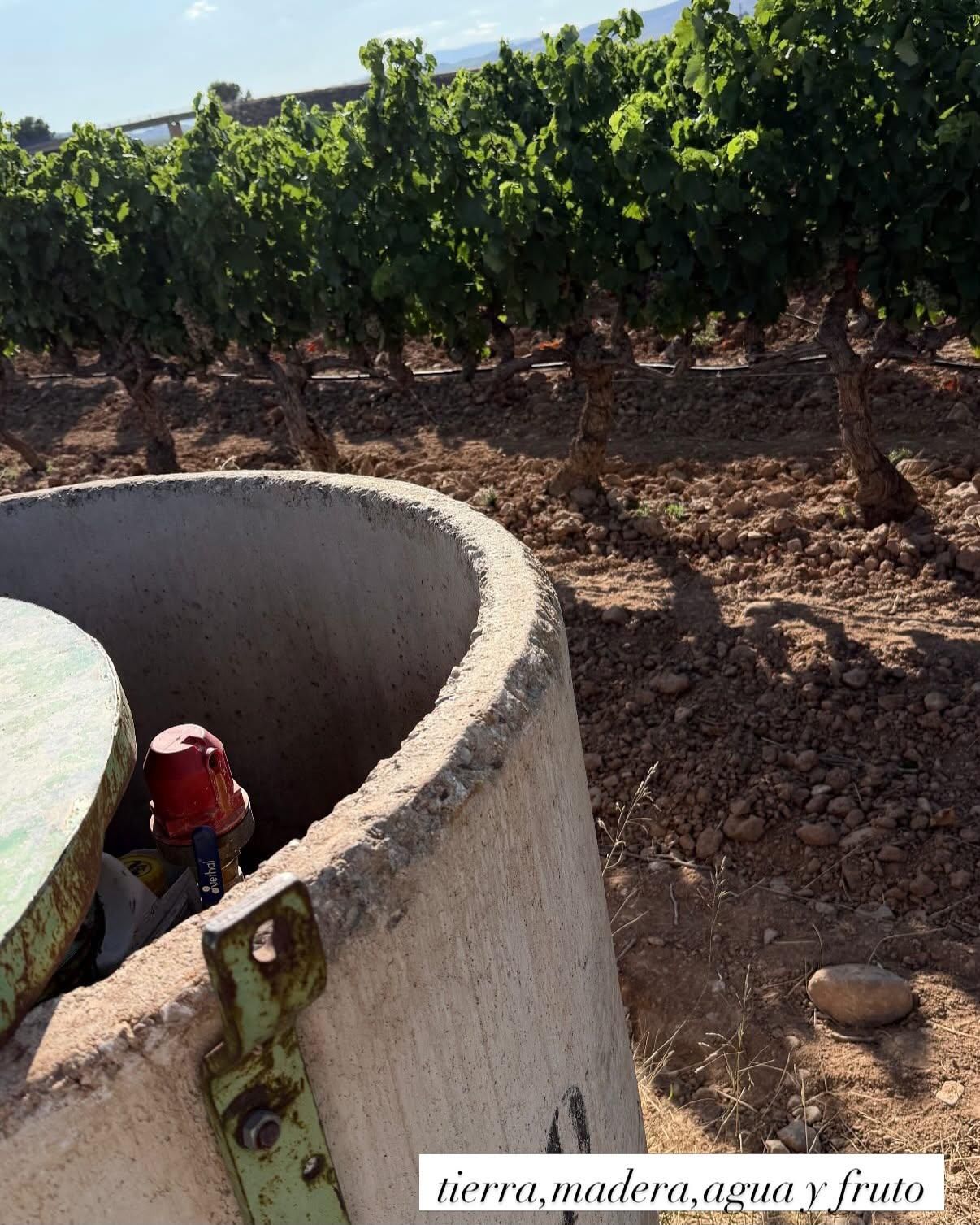 Todas las fotos del concurso 'Disfruta La Rioja' (Parte 2)