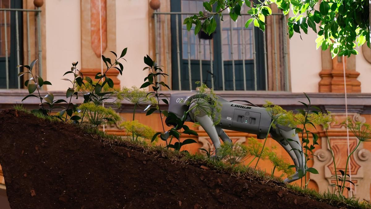 FLORA 2026 - FLOVER NYC (Diputación de Córdoba)