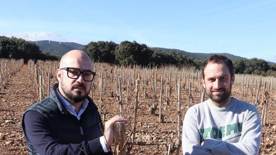 Iñaki y Xabier Sanz, de Viña Zorzal Wines y fundadores de la asociación Paisajes y Viñedos de Navarra.