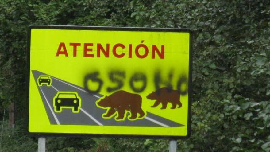 La Fiscalía de Asturias abre una investigación por la muerte de un oso pardo en Degaña