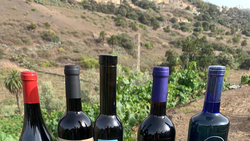 Selección de vinos de la Bodega Ventura