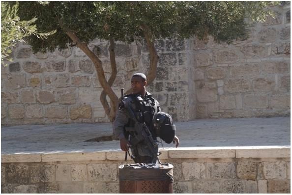 Imágenes captadas por Cristina Brito durante su estancia en Palestina.