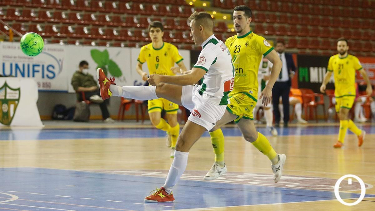 Córdoba Patrimonio de la Humanidad - Jaén Paraíso Interior (1-3) en Vista Alegre.