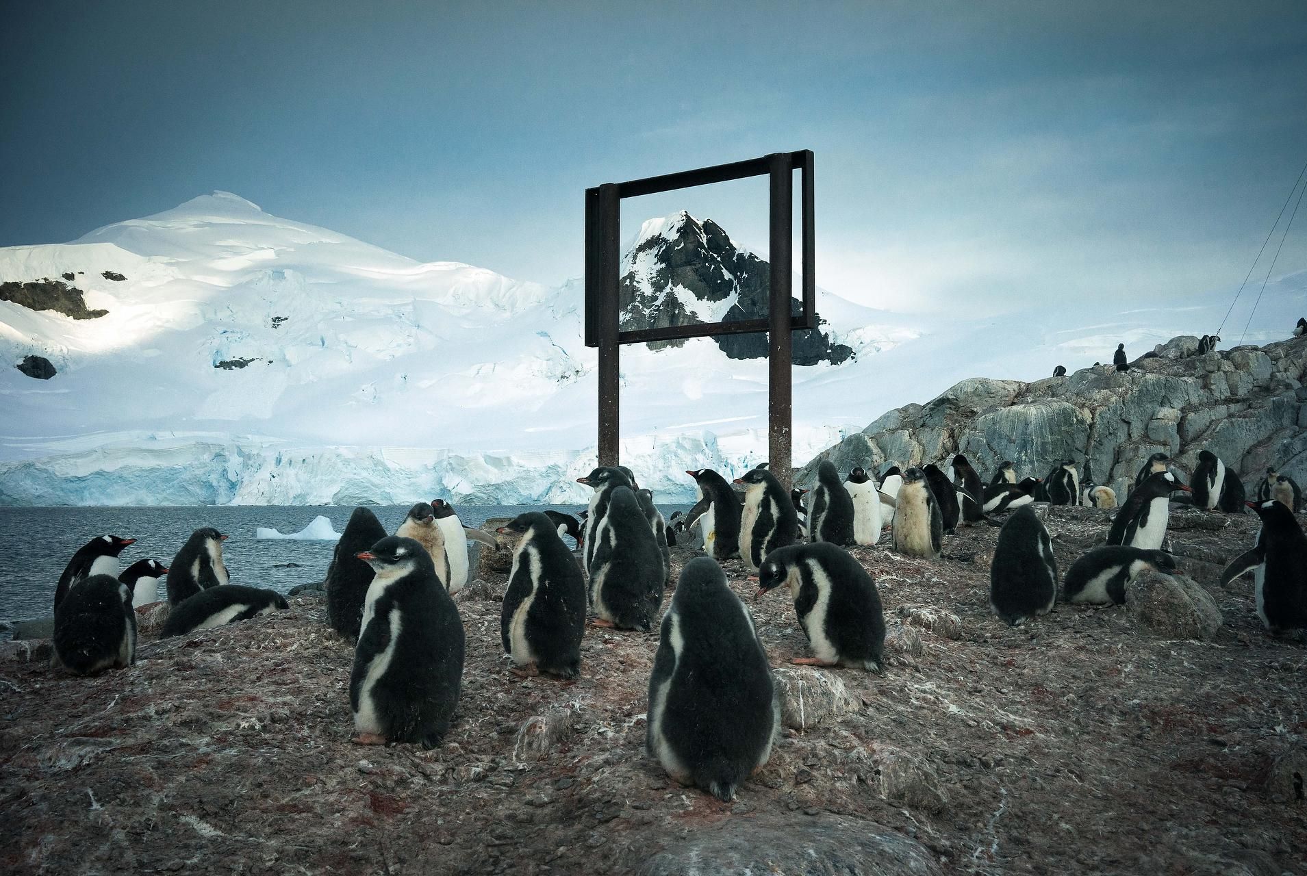 Segundo premio categoría ‘Medio Ambiente’