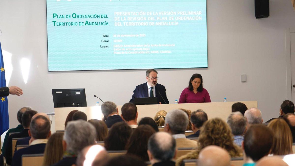 El delegado de la Junta explica a responsables de urbanismo la versión preliminar de la Revisión del POTA