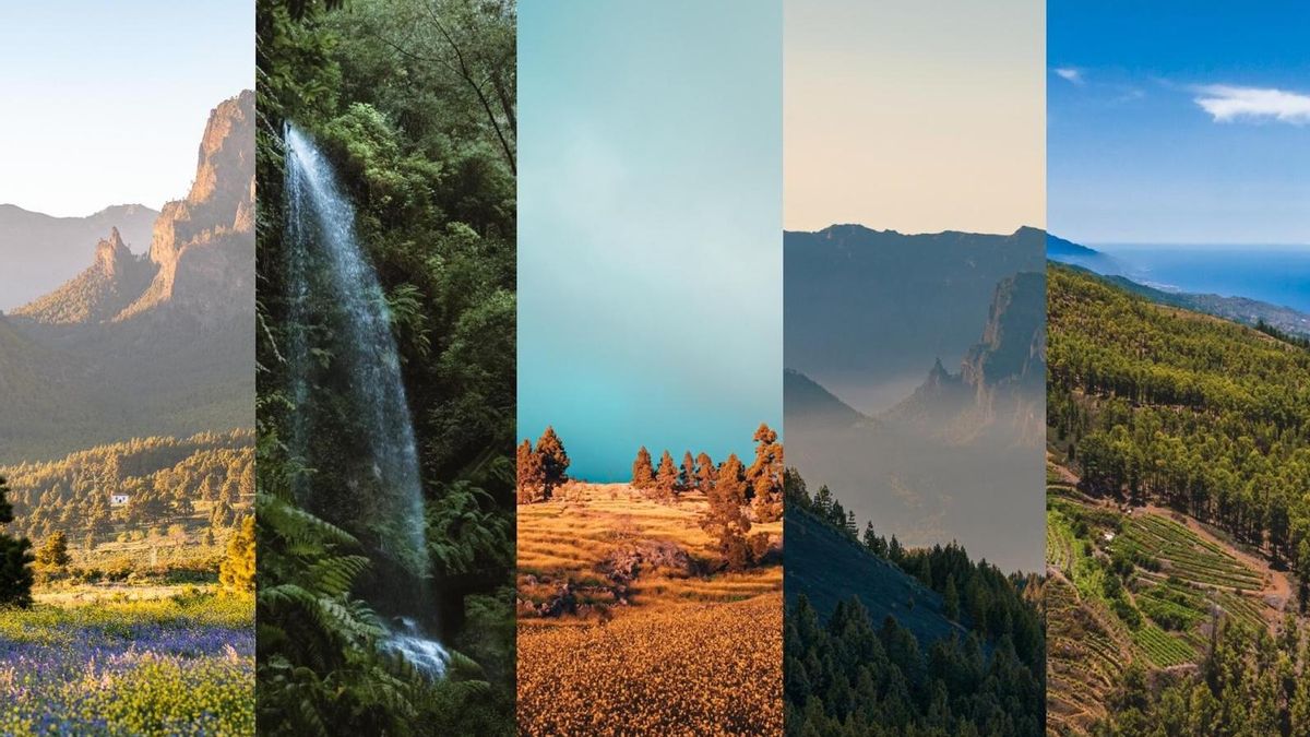 La Palma, nominada a Mejor Localización de Cine en Europa por la European Film Commissions Network