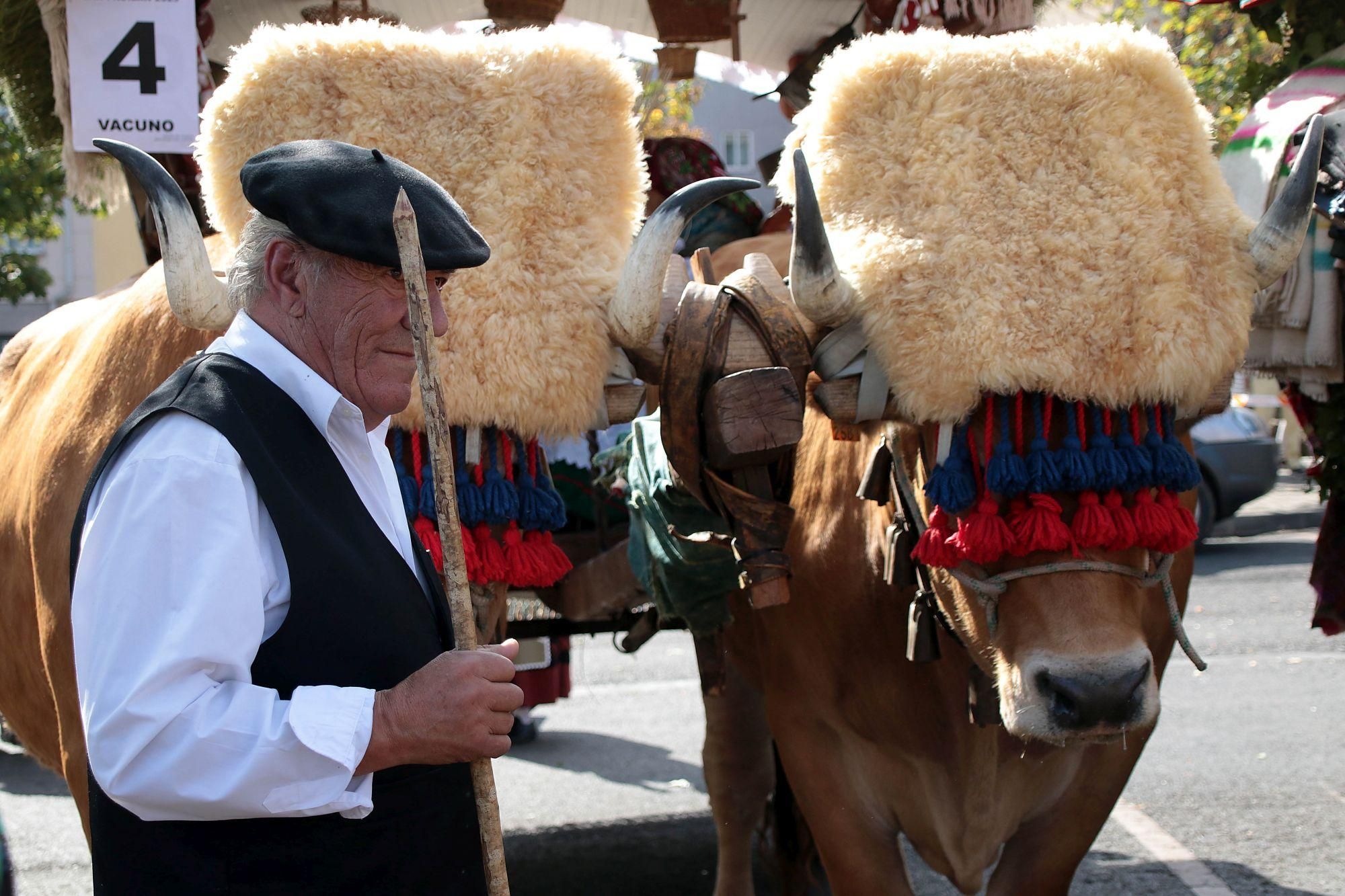 Sabor rural en Las Cantaderas de León