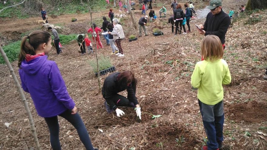 Apadrina un árbol: una jornada de plantación para conservar el entorno del arroyo Bejarano