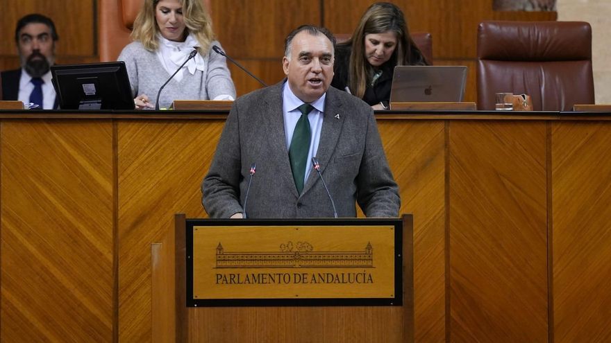 El consejero de Turismo, Arturo Bernal, este jueves en el Pleno extraordinario del Parlamento durante el debate de totalidad de la Ley de Turismo Sostenible.