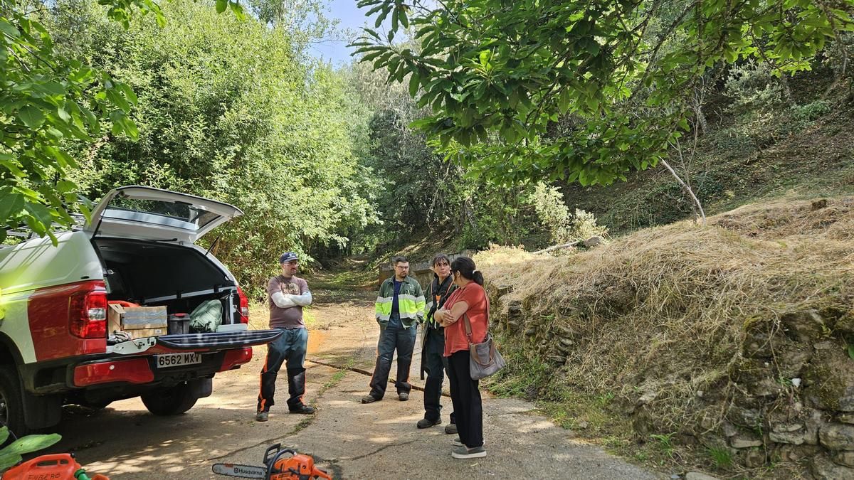 El Plan Montel de la Diputación contrata a 64 personas para prevención de incendios en 183 municipios de León