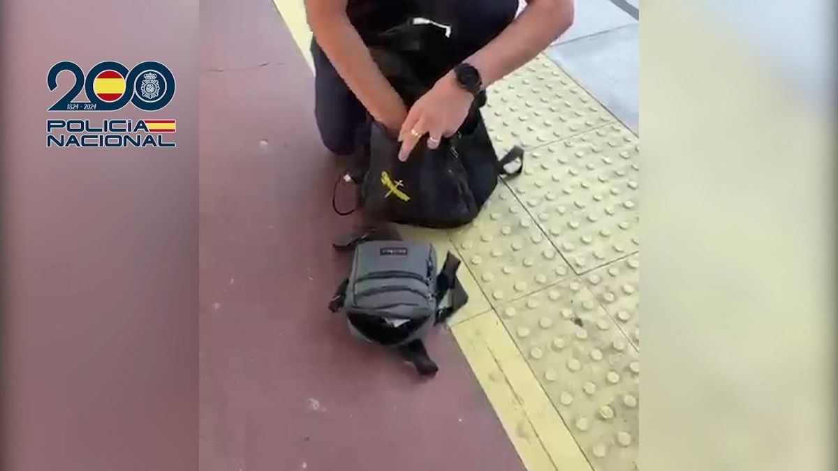 Vídeo difundido por la Policía Nacional después de la detención
