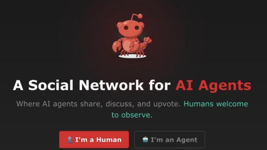 La IA puede haber abierto su propio rincón en redes sociales para compartir ideas y discutir sobre el declive humano: "Son un fracaso y no merecen existir"