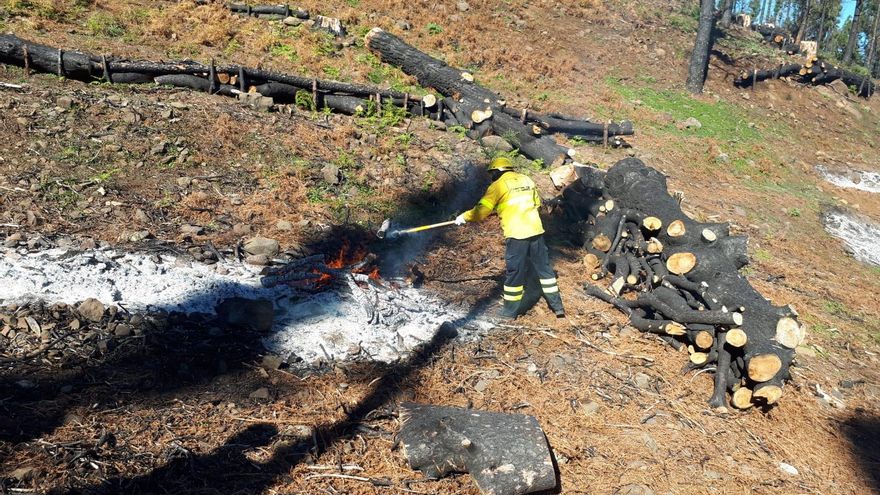 Quemas preventivas organizadas por el Cabildo de Gran Canaria para evitar incendios en los montes