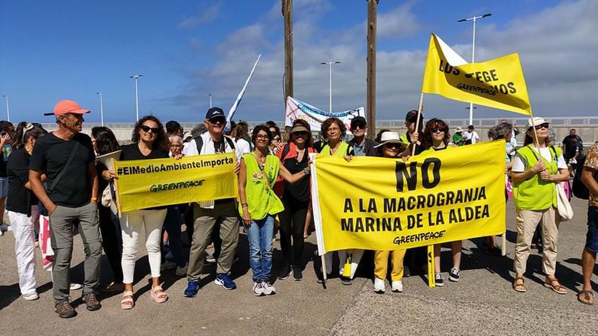 Greenpeace celebra el rechazo del pleno del Cabildo de Gran Canaria al proyecto de macrogranja marina en La Aldea