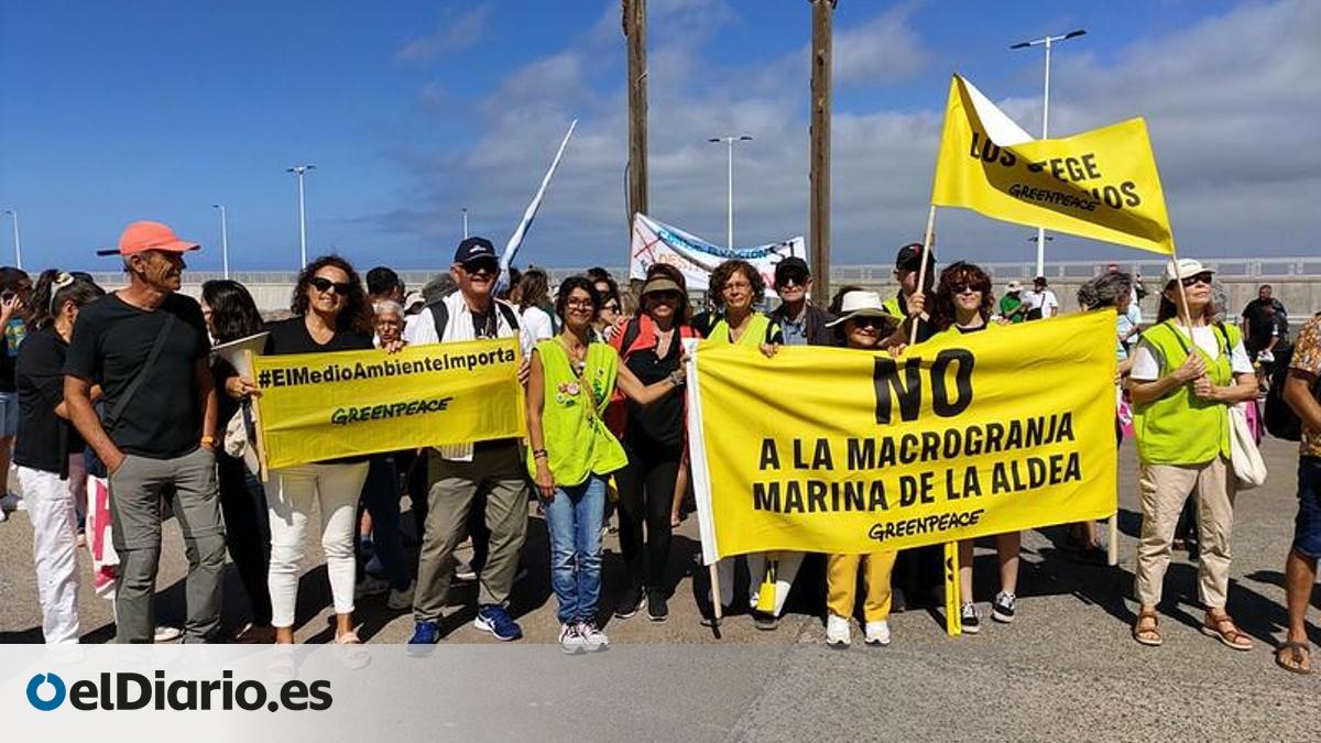 Greenpeace Welcomes Gran Canaria’s Cabildo Plenary Rejection of La Aldea Marine Mega-Farm Project