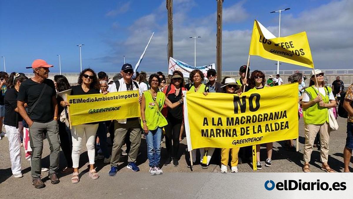 Greenpeace celebra el rechazo del pleno del Cabildo de Gran Canaria al proyecto de macrogranja marina en La Aldea