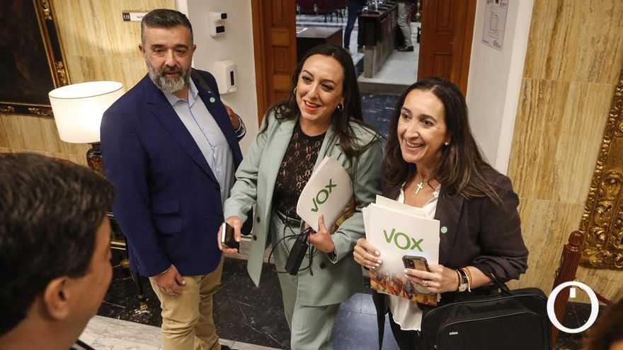 Vox se queda solo en el Pleno en su rechazo a las clases voluntarias de cultura árabe en colegios de Córdoba