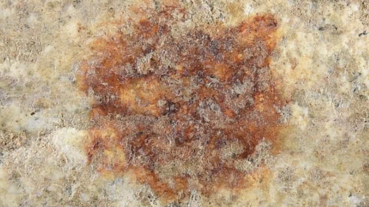 El hallazgo en Segovia de una huella dactilar sobre piedra, atribuida a un neandertal, ha sido interpretado como un acto simbólico