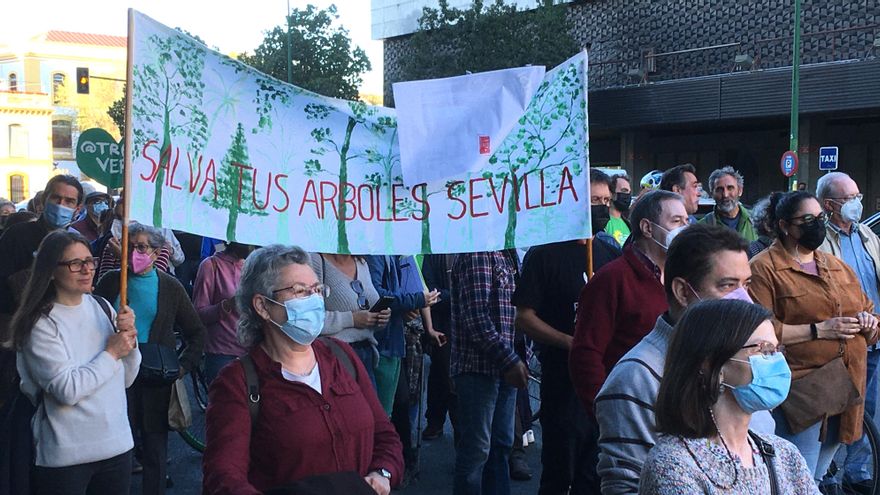 Réquiem en Sevilla por los árboles que eliminará la ampliación del tranvía