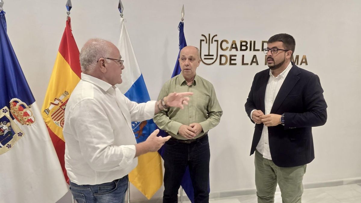 El Cabildo de La Palma aprueba un acuerdo institucional de solidaridad con Venezuela y  se ofrece para coordinar ayuda humanitaria