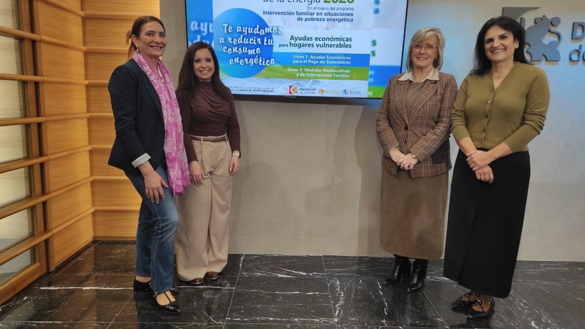 La Diputación inicia una campaña para promover uso responsable y eficiente de energía en hogares